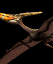 pteranodon, pterosaur, sea monsters