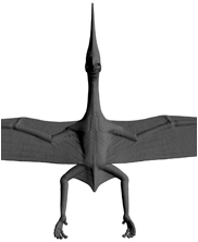 pteranodon, pterosaur, sea monsters