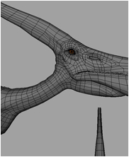 pteranodon, pterosaur, sea monsters