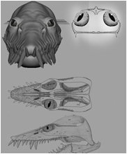 Styxosaurus, Styxosaurus Snowii, sea monsters