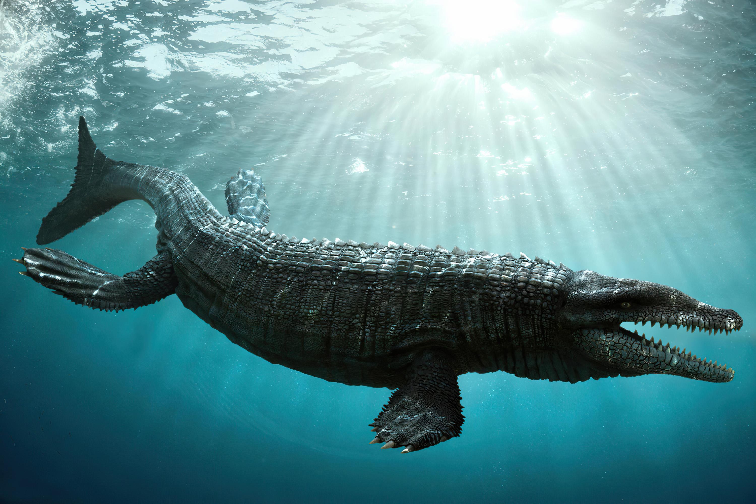 Julian Johnsonmortimer Visual Effect's